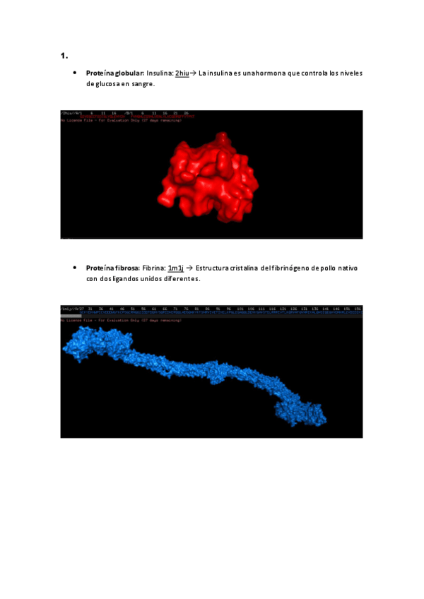 Miniatura del documento CUESTIONES-BIOINFORMATICA.pdf