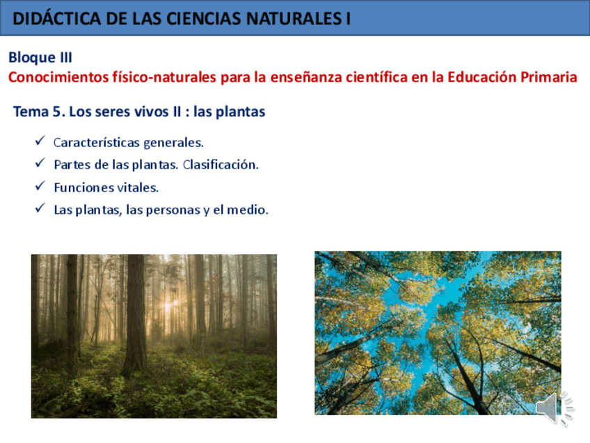 Miniatura del documento Tema-5-Los-seres-vivos-II-Las-plantas-2020-21.pdf