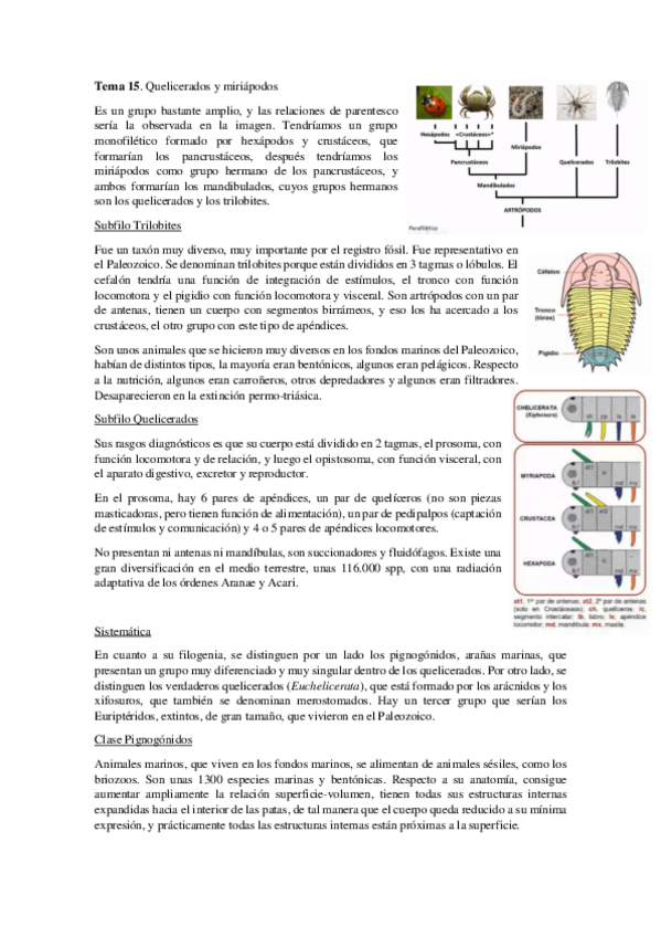 Miniatura del documento Tema-15.pdf