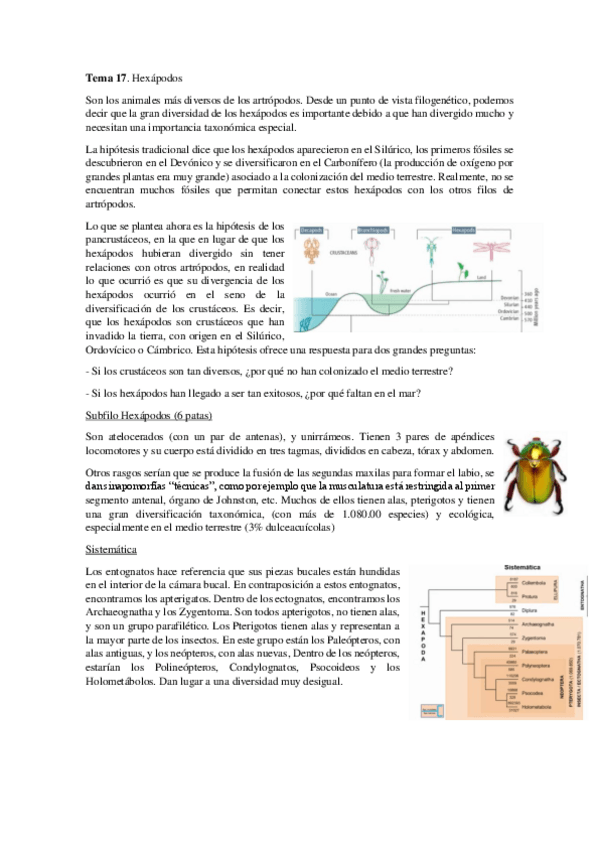Miniatura del documento Tema-17.pdf