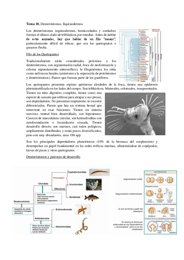 Miniatura del documento Tema-18.pdf
