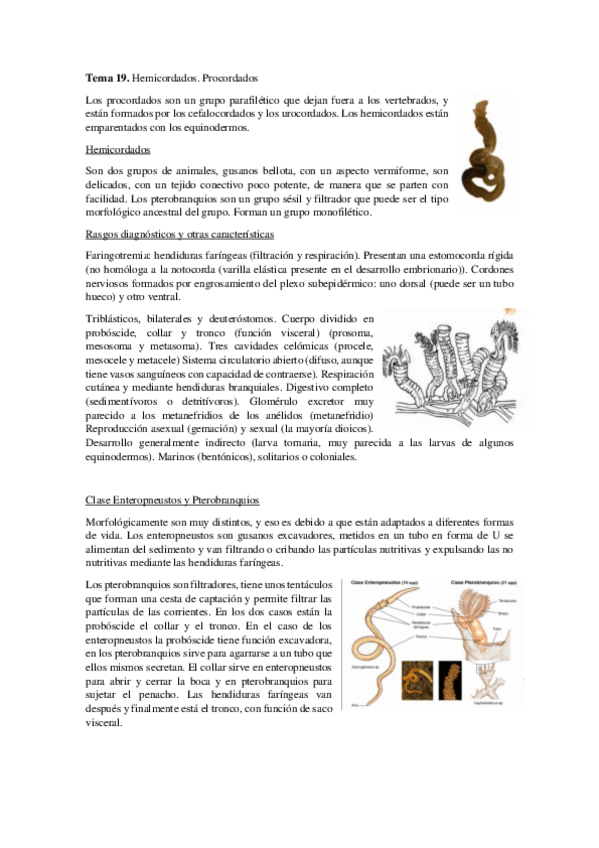 Miniatura del documento Tema-19.pdf