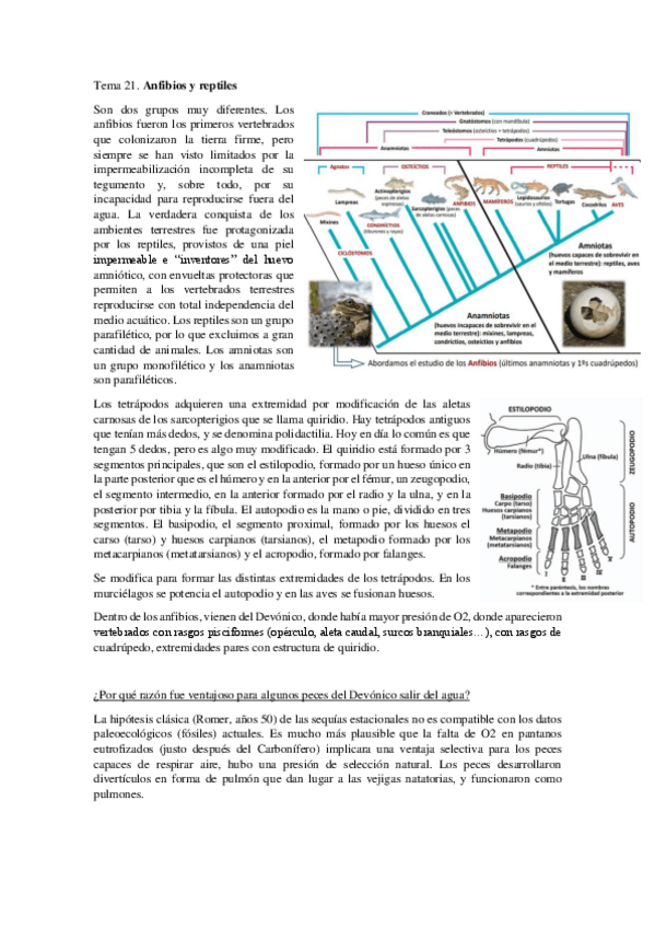 Miniatura del documento Tema-21.pdf