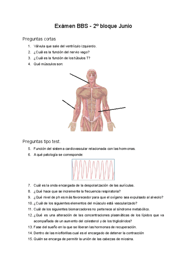 Miniatura del documento Examen-BBS-2o-bloque-Junio.pdf