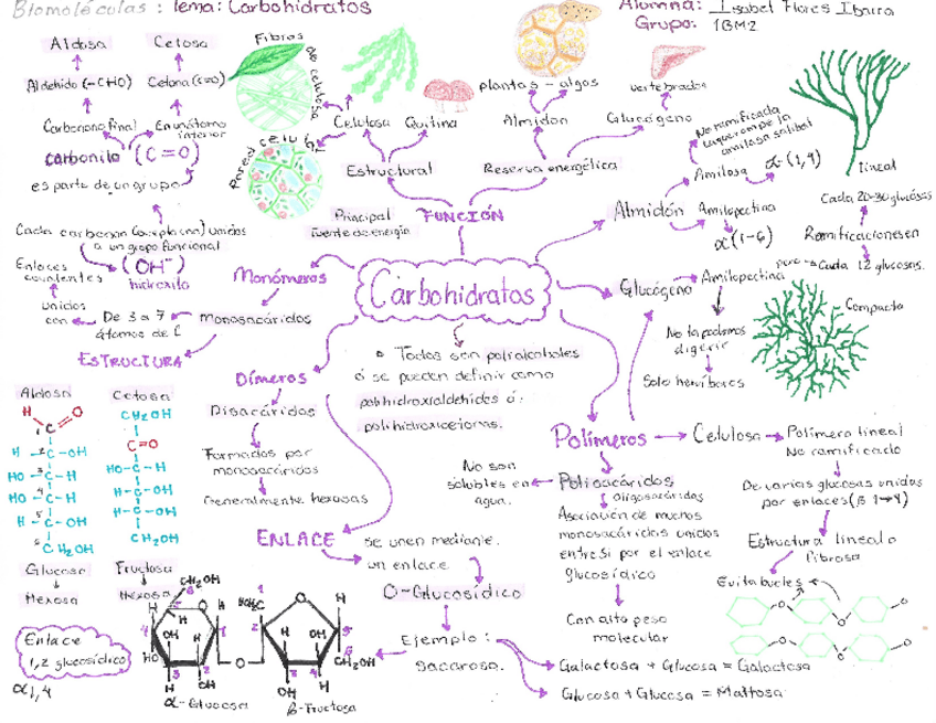 Miniatura del documento FloresIbarraIsabelBIOMOLECULAS.pdf