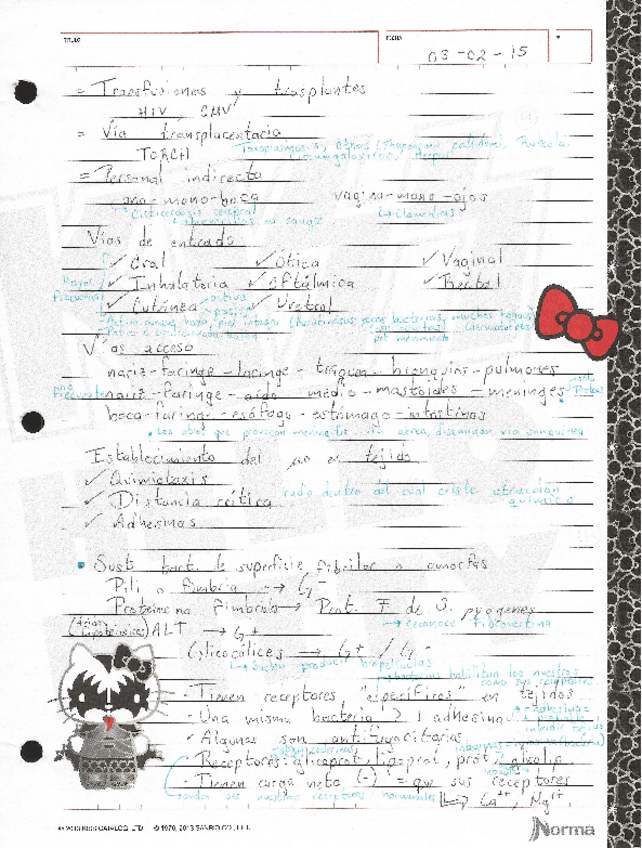 Miniatura del documento Apuntes.pdf