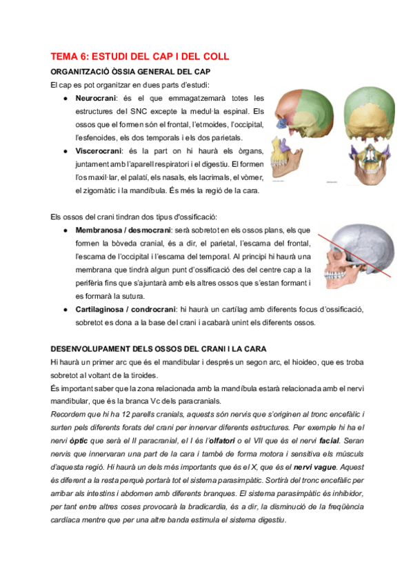 Miniatura del documento AH-Tema-6-Cap-i-coll.pdf