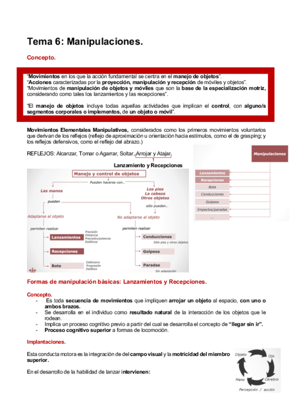 Miniatura del documento HABILIDADES-T6.pdf