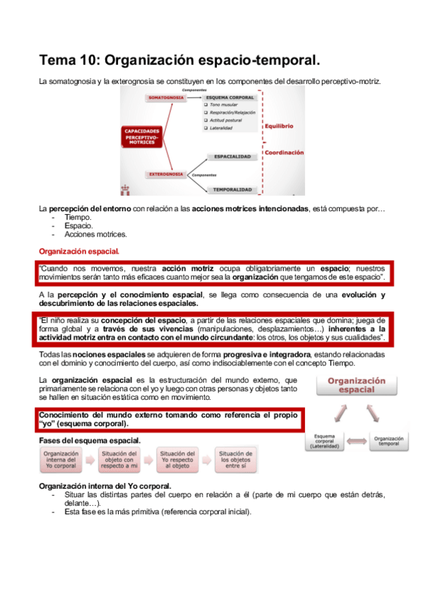 Miniatura del documento HABILIDADES-T10.pdf