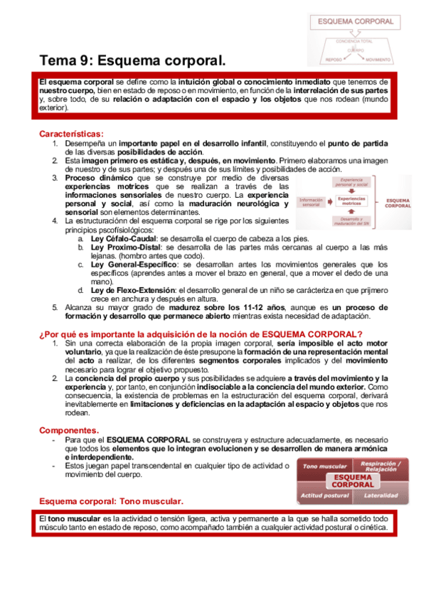 Miniatura del documento HABILIDADES-T9.pdf