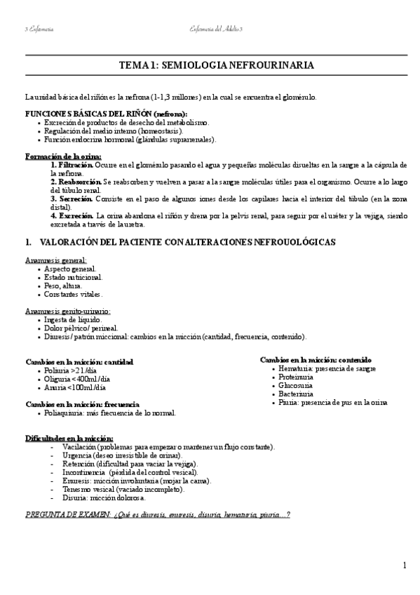 Miniatura del documento Adulto-3-2020-2021.pdf
