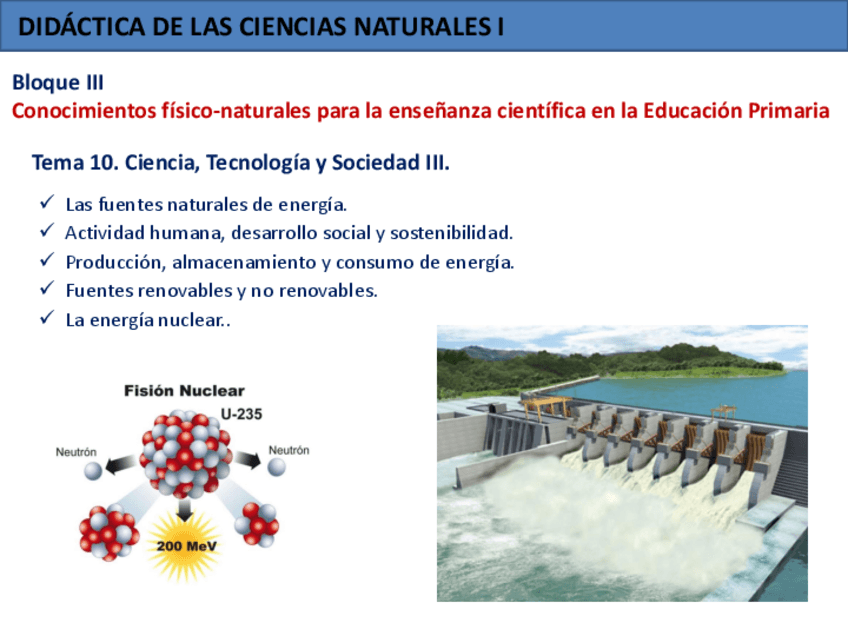 Miniatura del documento Tema-10-Ciencia-Tecnologia-y-Sociedad-III.pdf