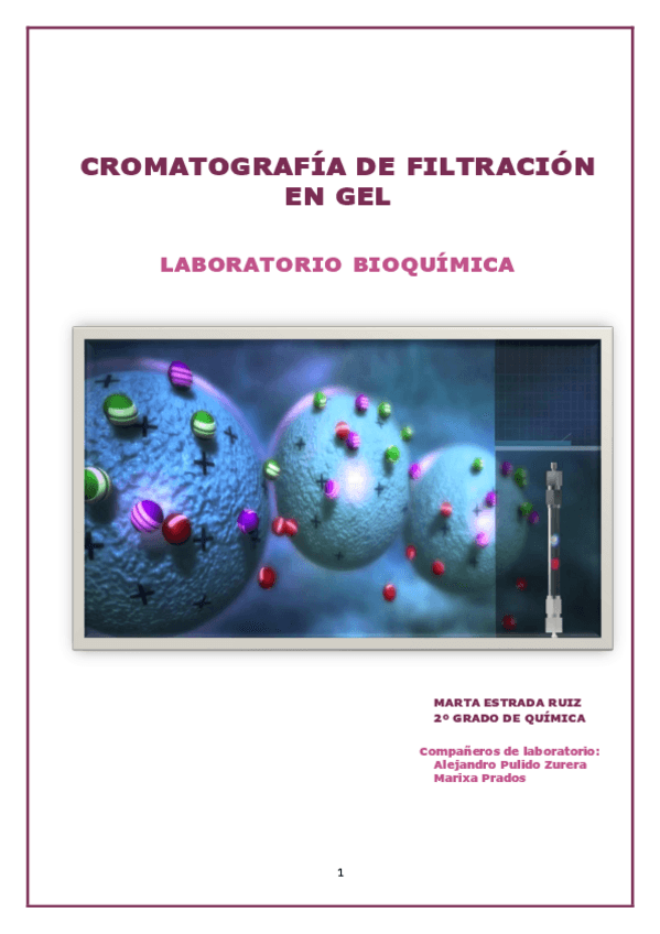 Miniatura del documento PRACTICA-CROMATOGRAFIA.pdf