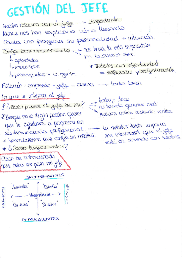 Miniatura del documento gestiondeljefe202104140001.pdf