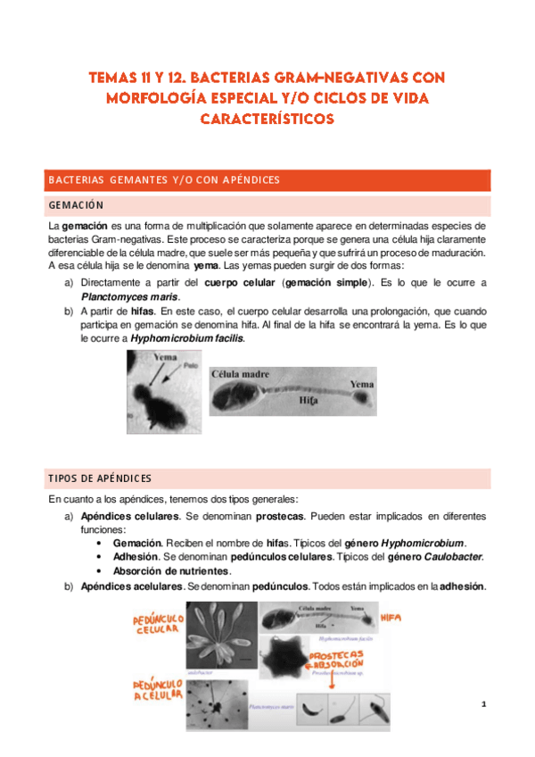 Miniatura del documento TEMA-11-Y-12.pdf