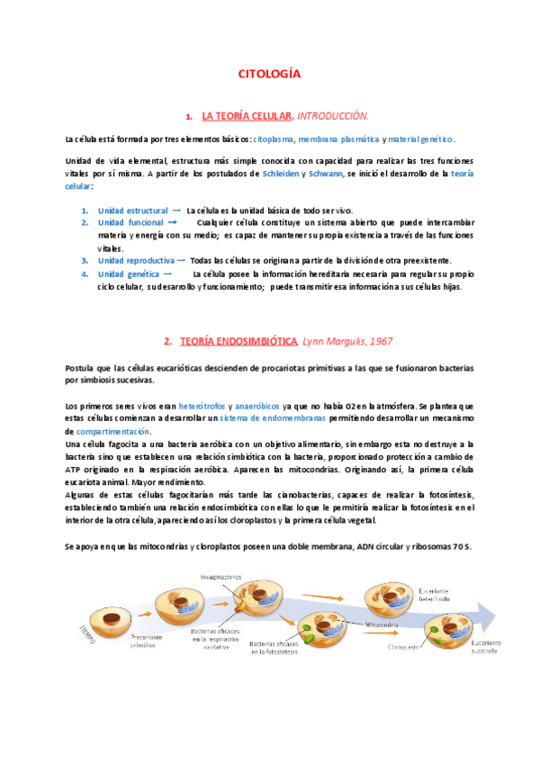 Miniatura del documento CITOLOGIA-4.pdf