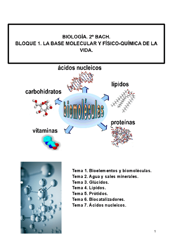 Miniatura del documento BIOLOGIA-2-BACH-COMPLETO.pdf