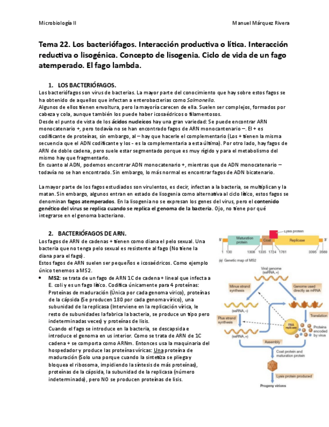 Miniatura del documento Tema 22.pdf