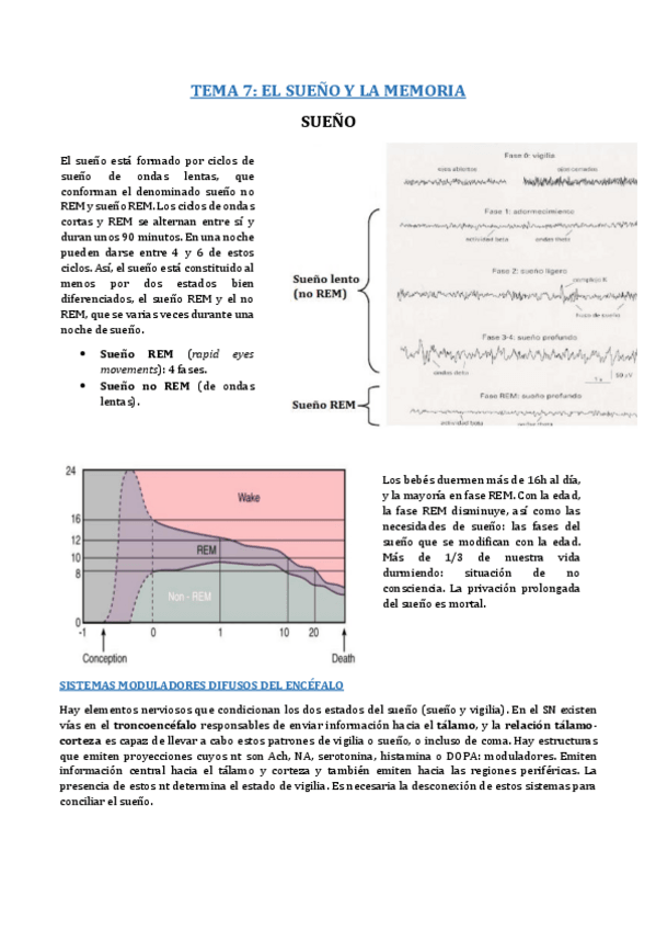 Miniatura del documento B8- T7.pdf