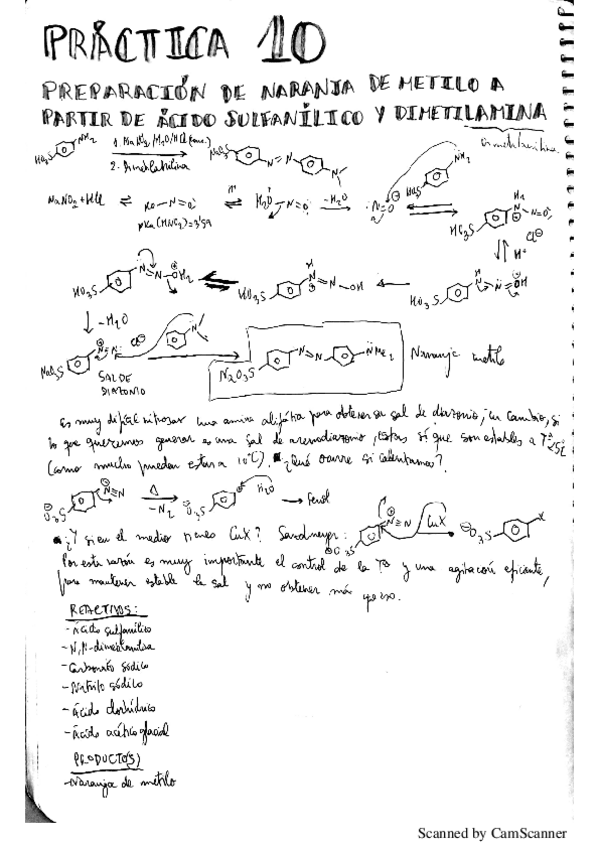 Miniatura del documento Practica-10.pdf