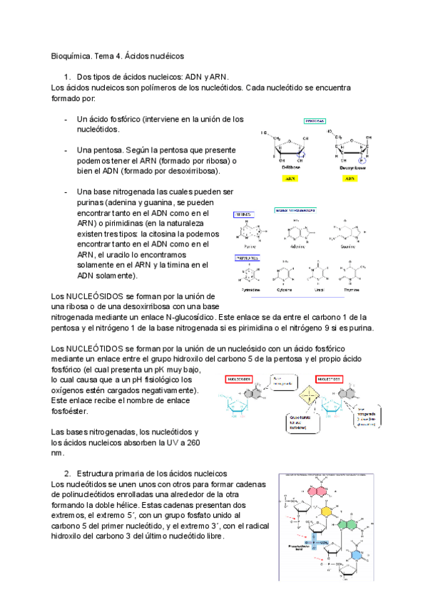 Miniatura del documento Bioquimica.pdf