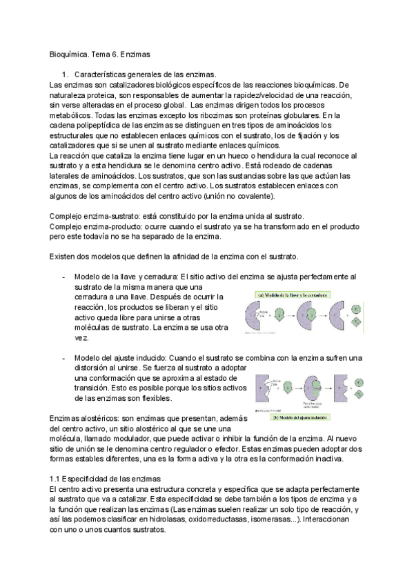 Miniatura del documento Bioquimica.pdf