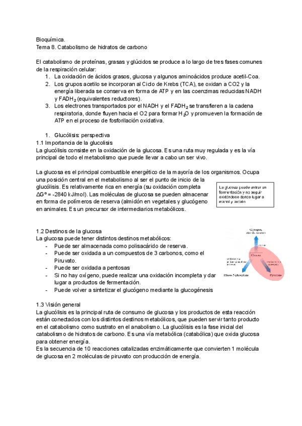 Miniatura del documento Tema-8.pdf