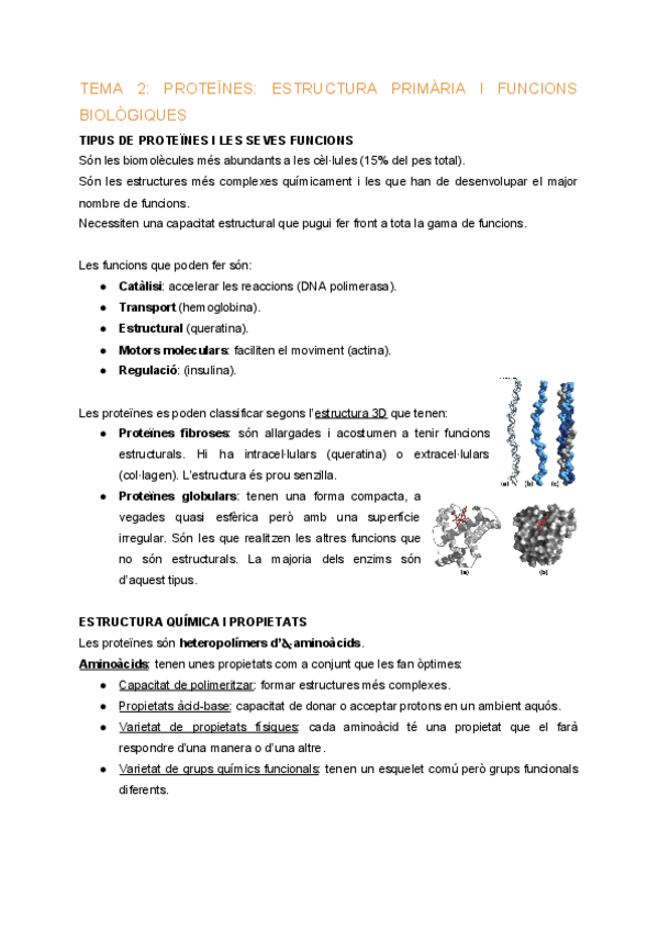 Miniatura del documento EFB-Tema-2-Proteines.pdf