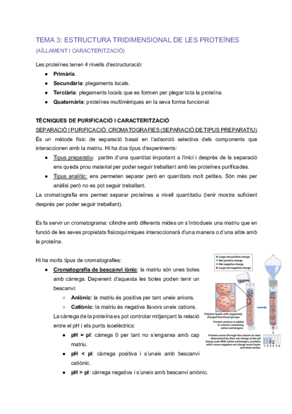 Miniatura del documento EFB-Tema-3-Estructura-tridimensional-de-les-proteines-2.pdf
