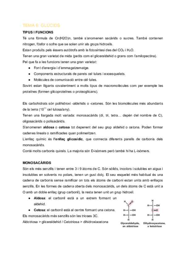 Miniatura del documento EFB-TEMA-6-Glucids.pdf