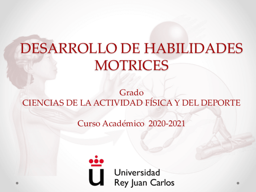 Miniatura del documento Organizacion-Espacio-Temporal.pdf