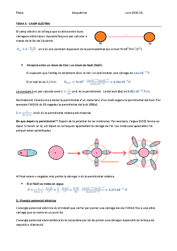Miniatura del documento FISICA TEMA 5 - CAMP ELÈCTRIC.pdf