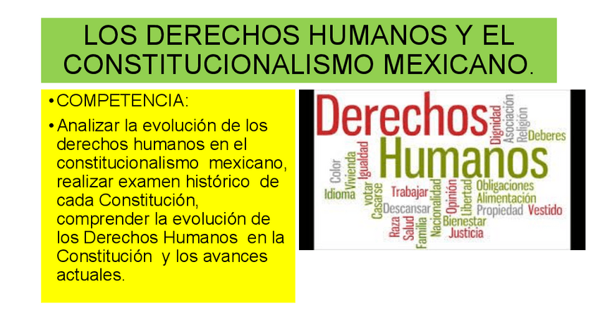 Miniatura del documento LOS-DERECHOS-HUMANOS-Y-EL-CONSTITUCIONALISMO-MEXICANO.pdf