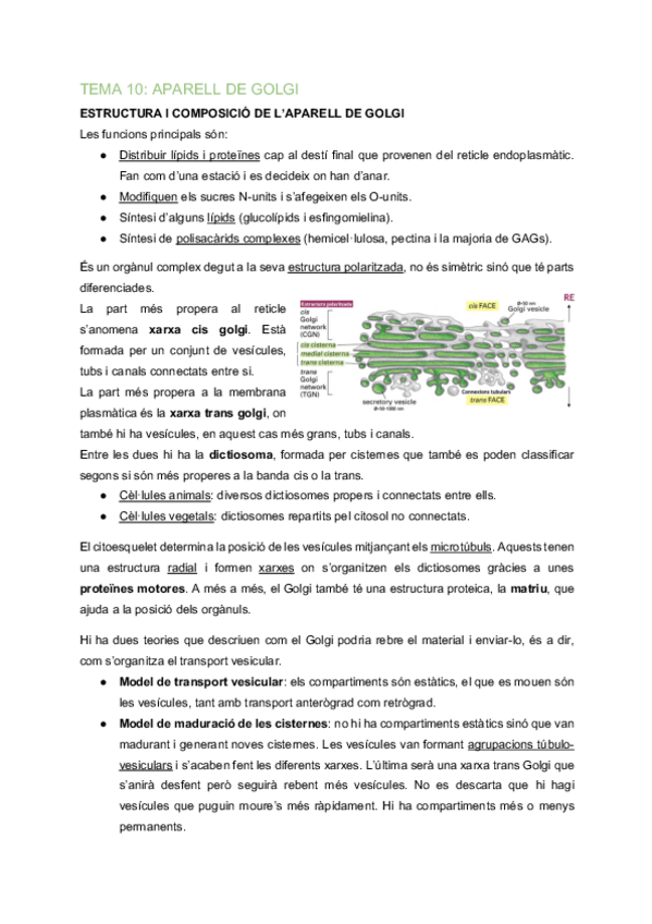 Miniatura del documento BC-Tema-10-Aparell-de-Golgi.pdf