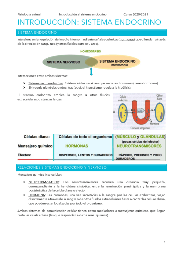 Miniatura del documento endocrino.pdf