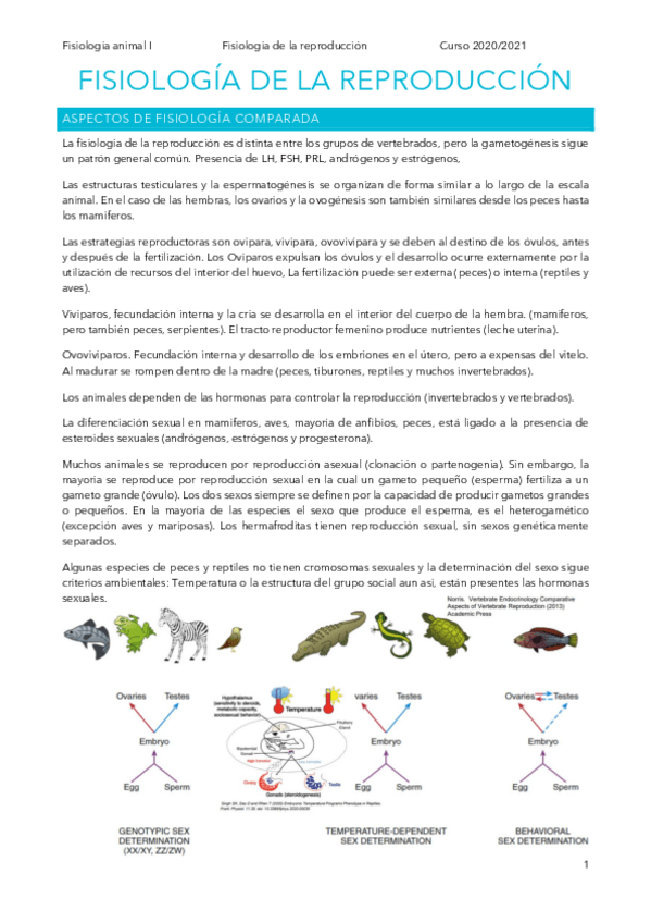 Miniatura del documento reproduccion.pdf