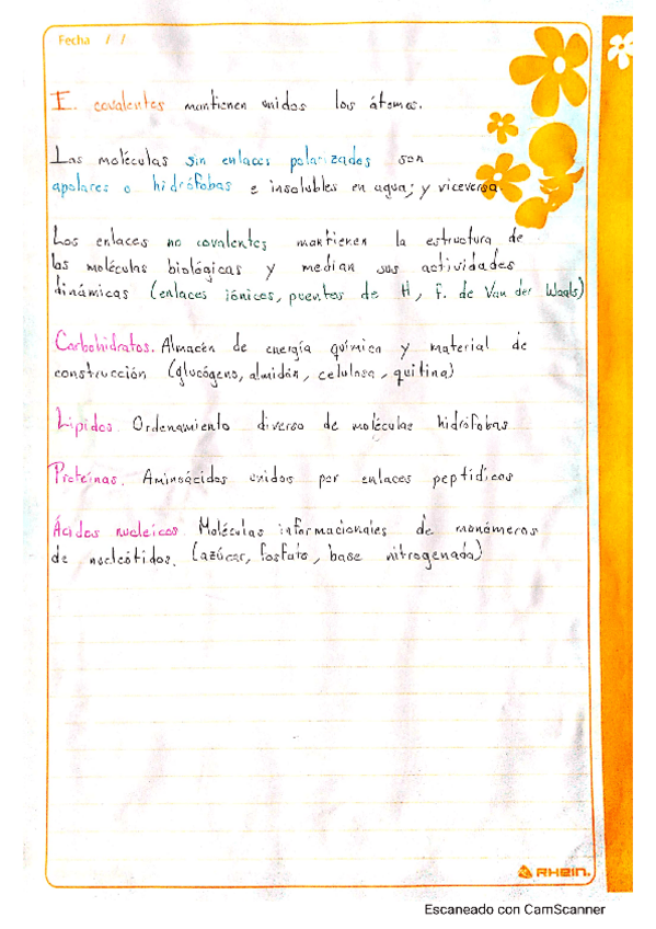 Miniatura del documento Apuntes.pdf