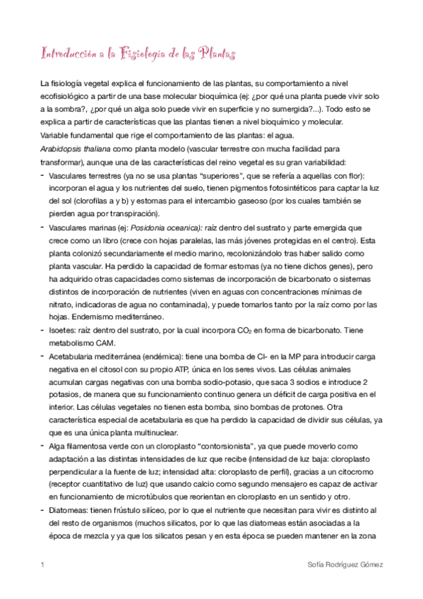 Miniatura del documento 1. Introducción