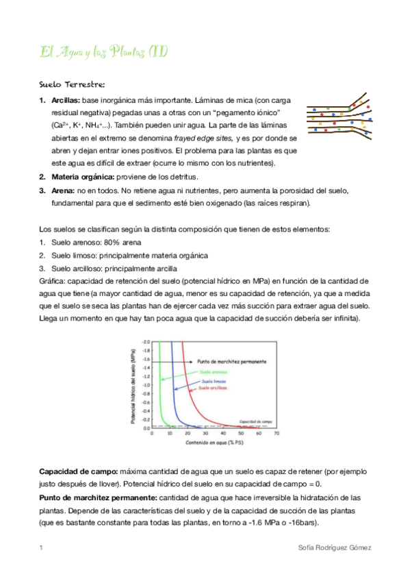 Miniatura del documento 3. El agua y las plantas II