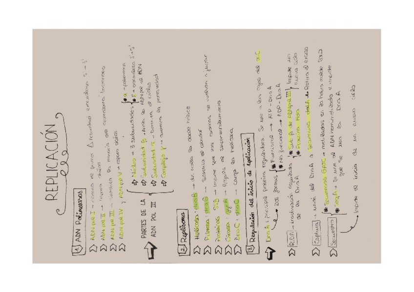 Miniatura del documento esquema replicacion.pdf