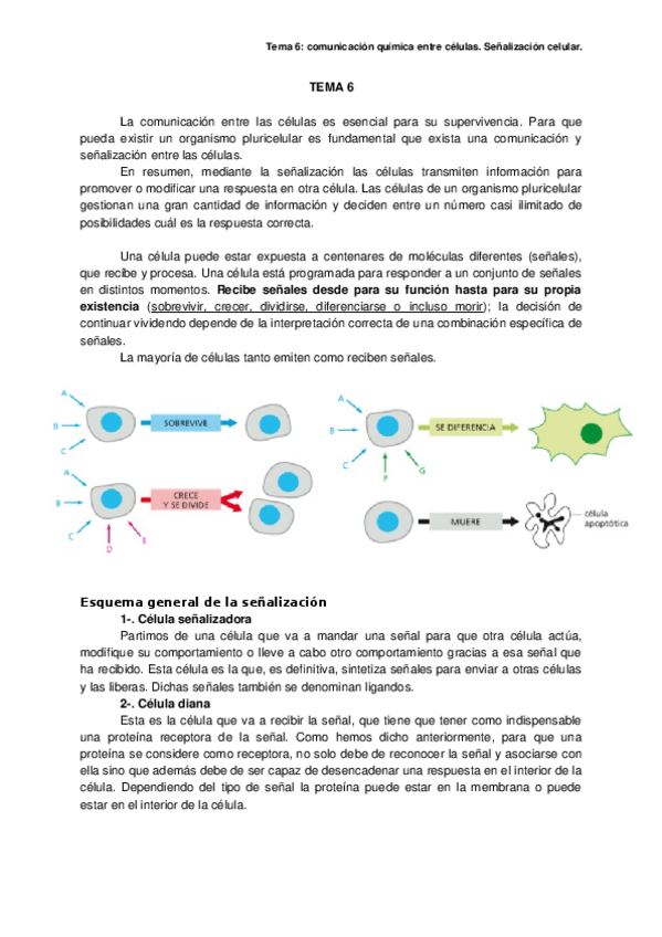 Miniatura del documento TEMA-6.docx