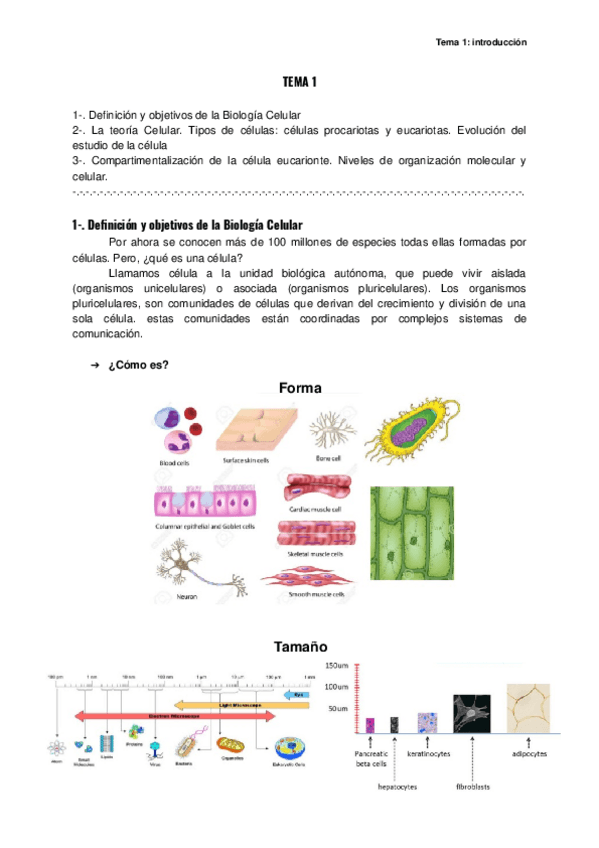Miniatura del documento TEMA-1.docx