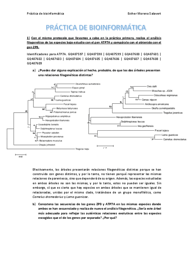 Miniatura del documento Problemas-bioinformatica.pdf