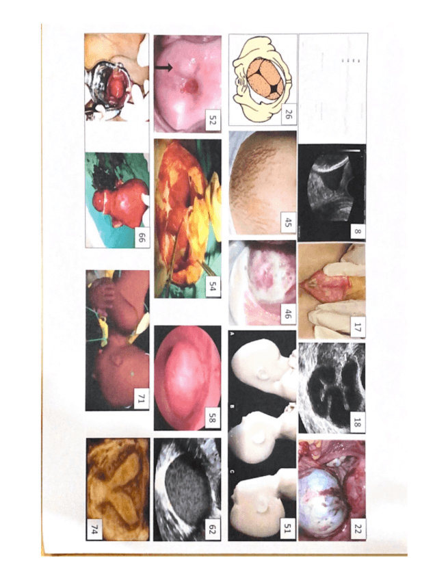 Miniatura del documento 2021.pdf
