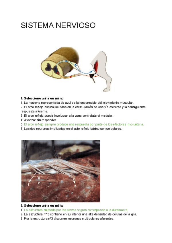 Miniatura del documento Preguntas-Anatomia-Pablo-julio-2019-2020.pdf