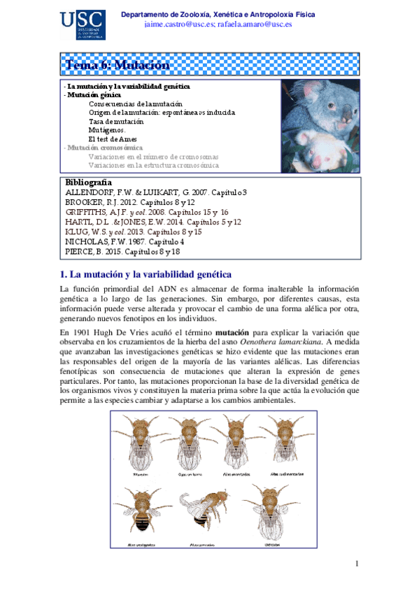 Miniatura del documento Tema-6.pdf