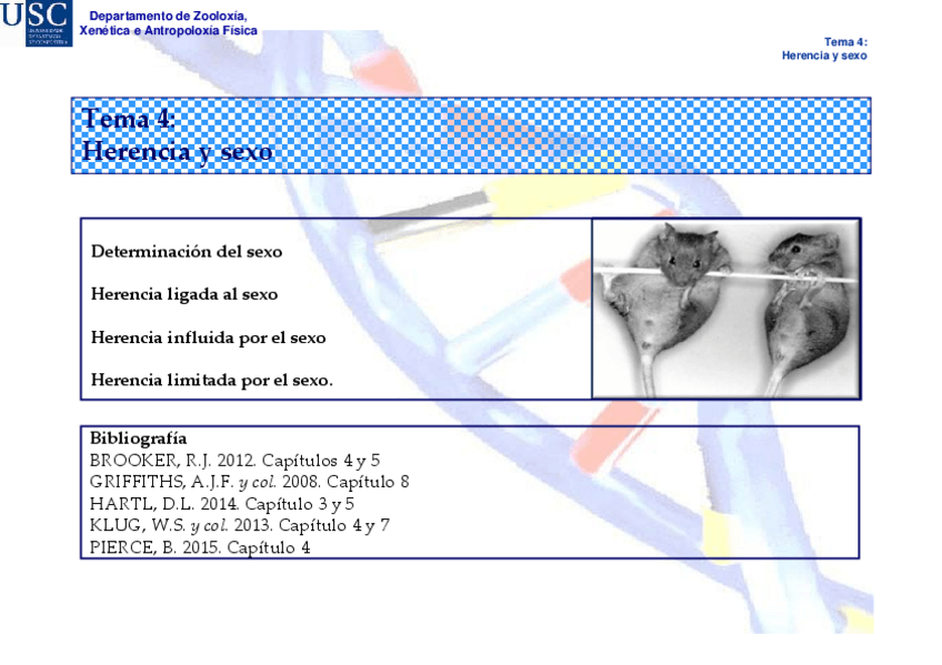 Miniatura del documento Tema-4.pdf