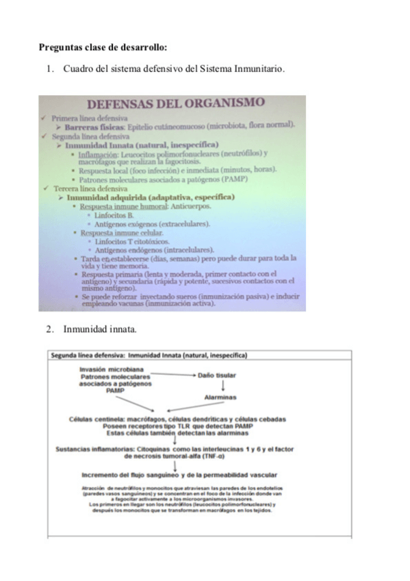 Miniatura del documento Preguntas-desarrollo-Inmunologia-2019.pdf