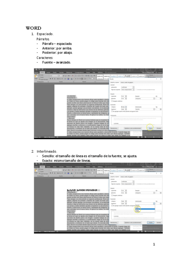 Miniatura del documento WORD.pdf
