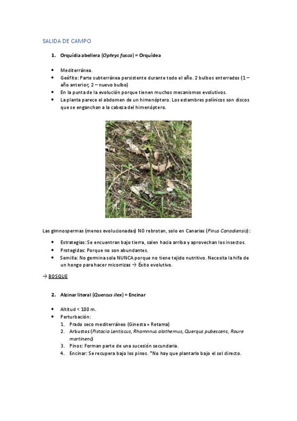 Miniatura del documento SALIDA-DE-CAMPO.pdf